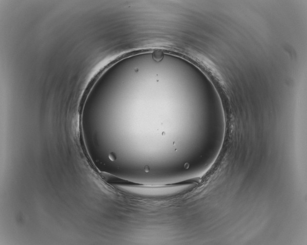 X0000111681324200907311212