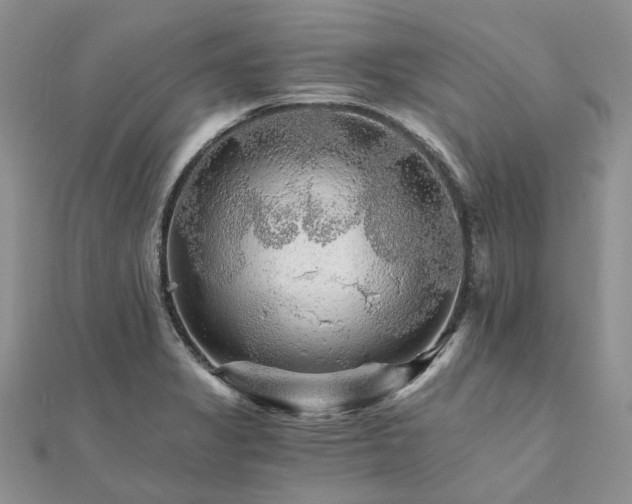 X0000111681325200907311212