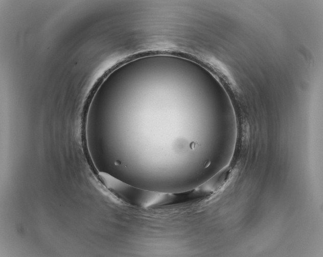 X0000111681326200907311212