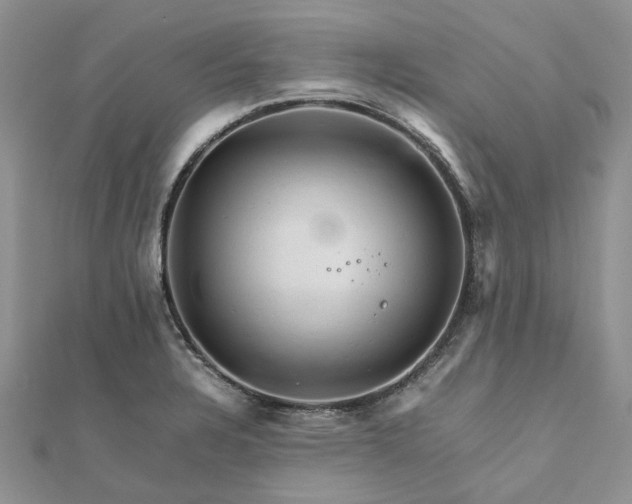 X0000111681328200907311212