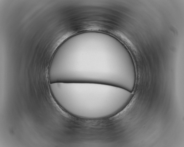 X0000111681329200907311212