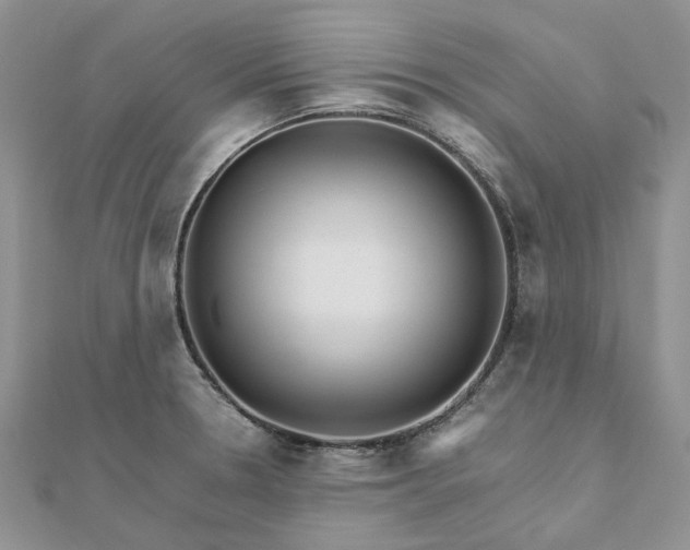 X0000111681330200907311212