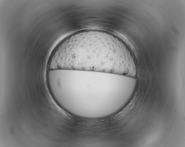 X0000111681331200907311212