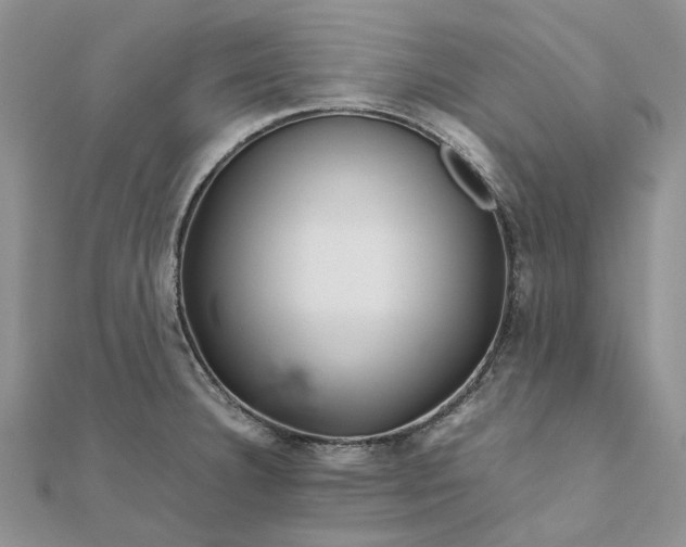 X0000111681332200907311212