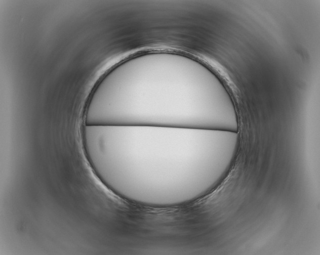 X0000111681335200907311212