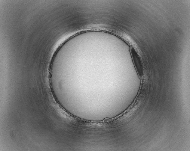 X0000111681336200907311212