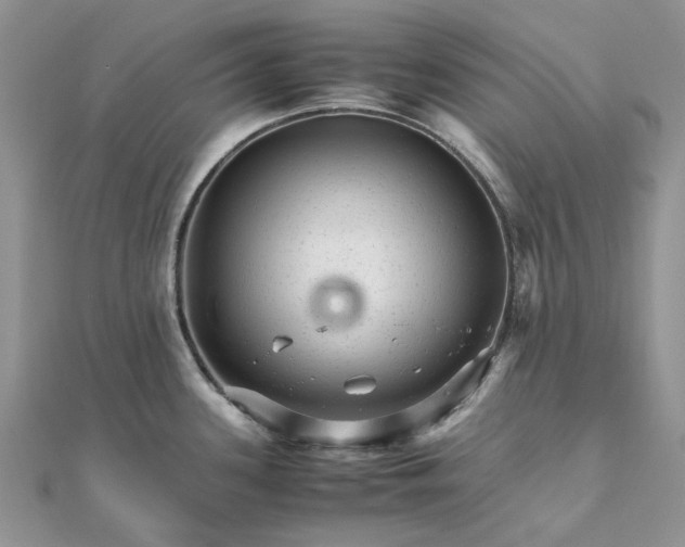 X0000111681339200907311212