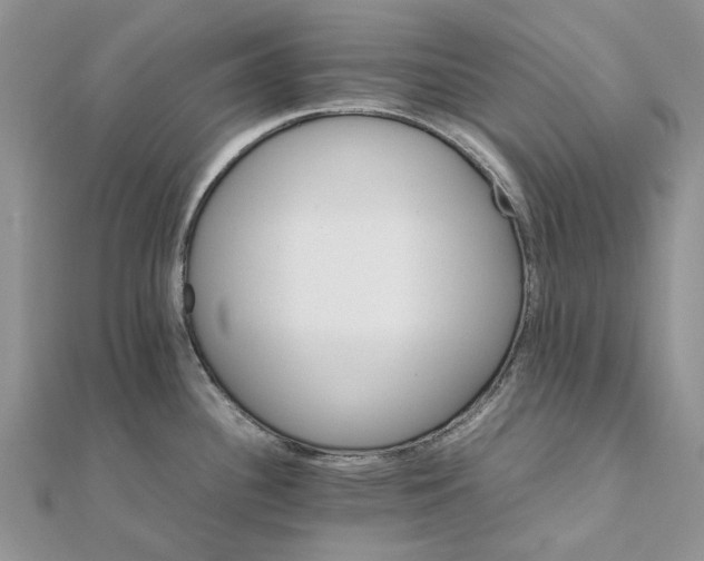 X0000111681340200907311212