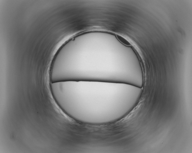 X0000111681341200907311212