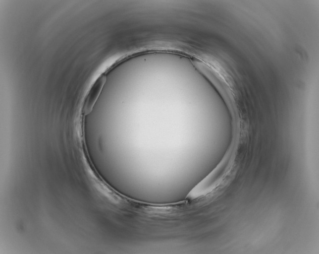 X0000111681342200907311212