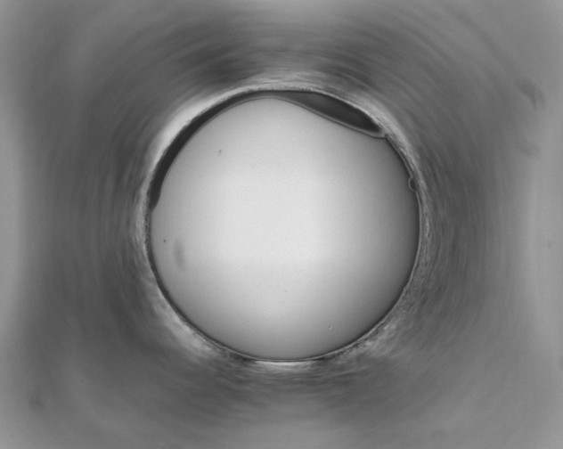 X0000111681344200907311212