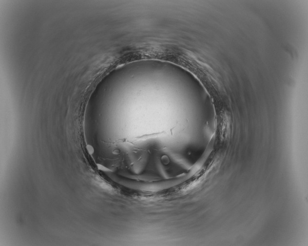 X0000111681345200907311211