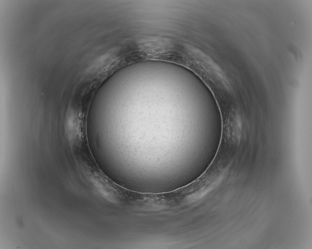 X0000111681346200907311211