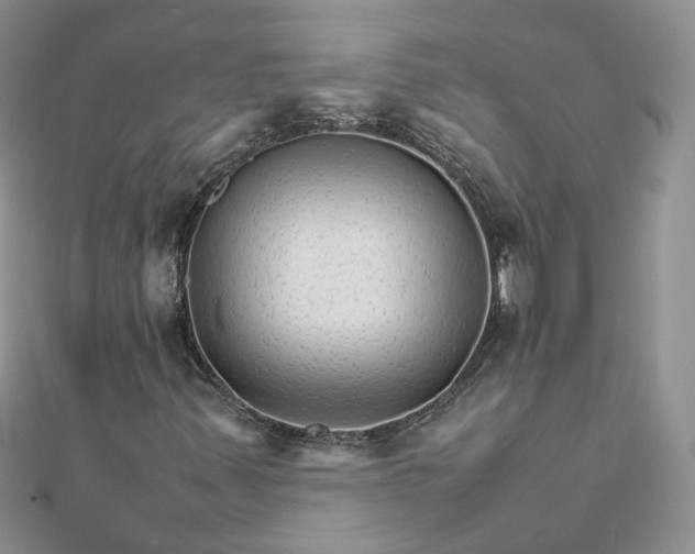 X0000111681347200907311211