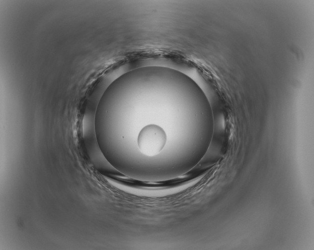 X0000111681349200907311211