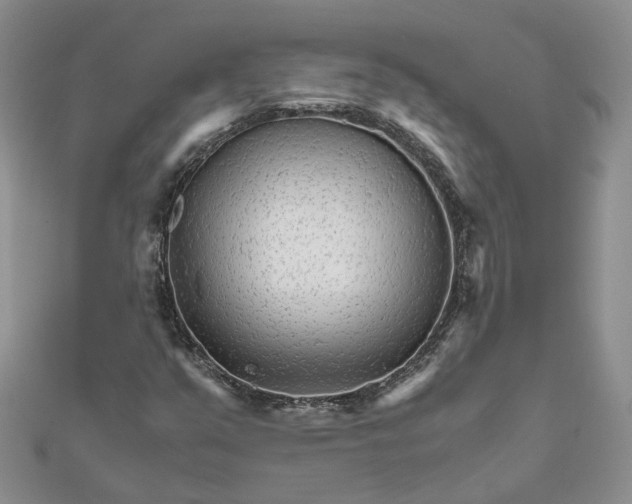 X0000111681351200907311211