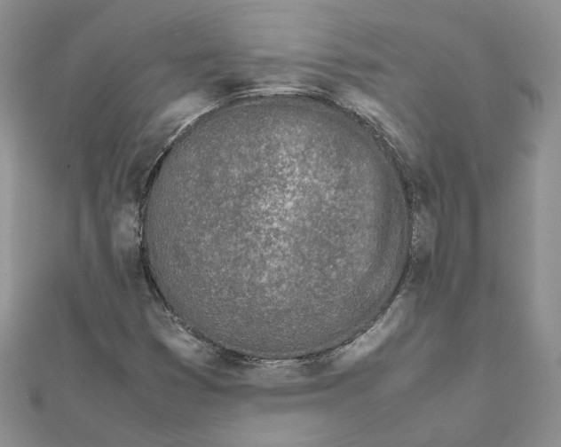 X0000111681353200907311211