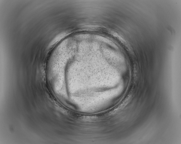 X0000111681354200907311211