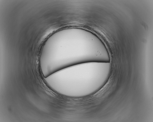 X0000111681355200907311211