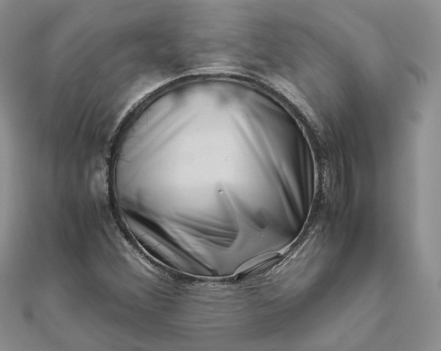 X0000111681356200907311211