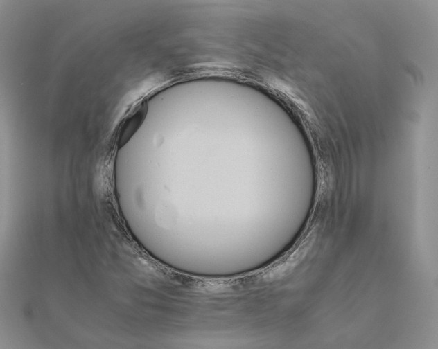 X0000111681357200907311211