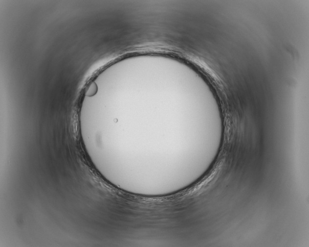 X0000111681358200907311211