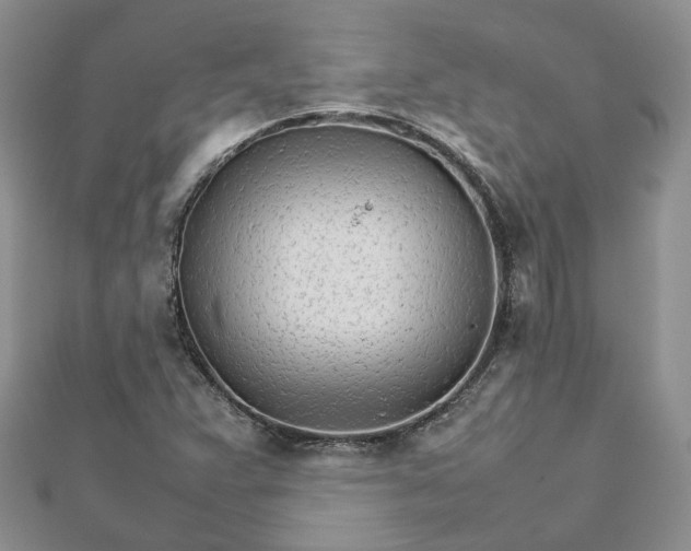 X0000111681359200907311211