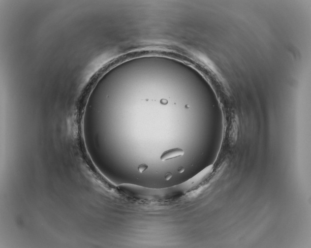 X0000111681360200907311211