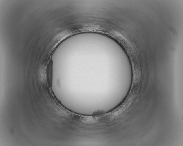 X0000111681361200907311211