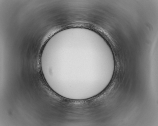 X0000111681362200907311211