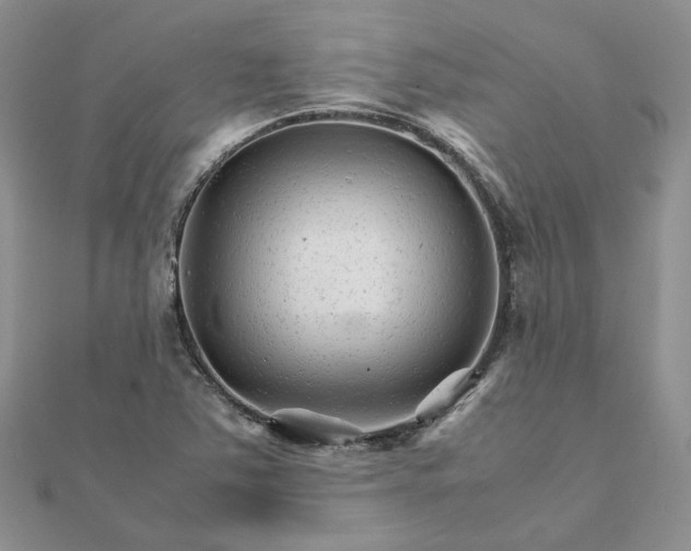 X0000111681363200907311211