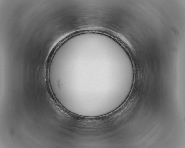 X0000111681364200907311211