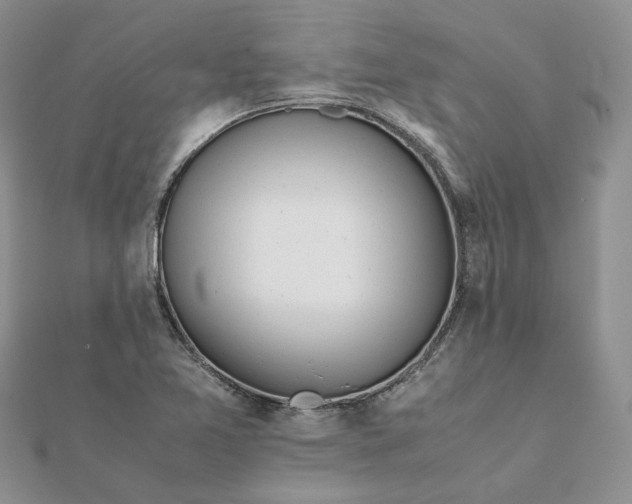 X0000111681365200907311211