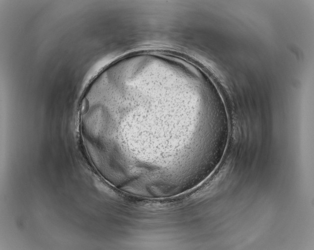 X0000111681366200907311211