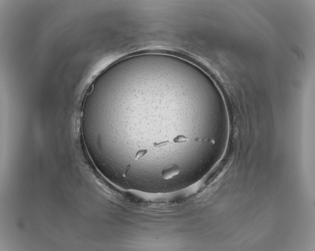 X0000111681367200907311211