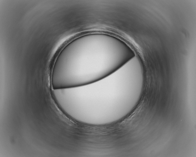 X0000111681368200907311211