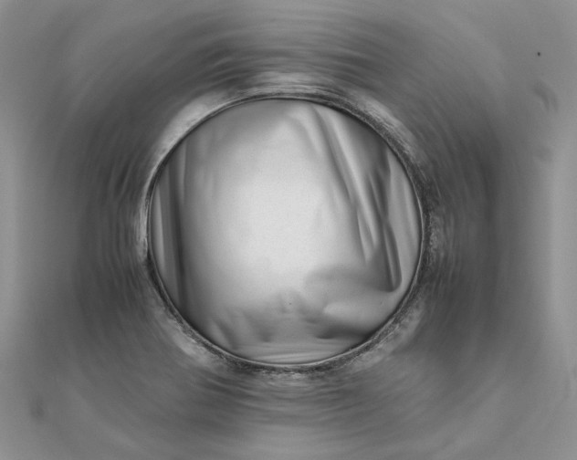 X0000111681370200907311211