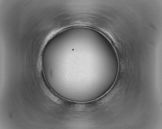 X0000111681371200907311211