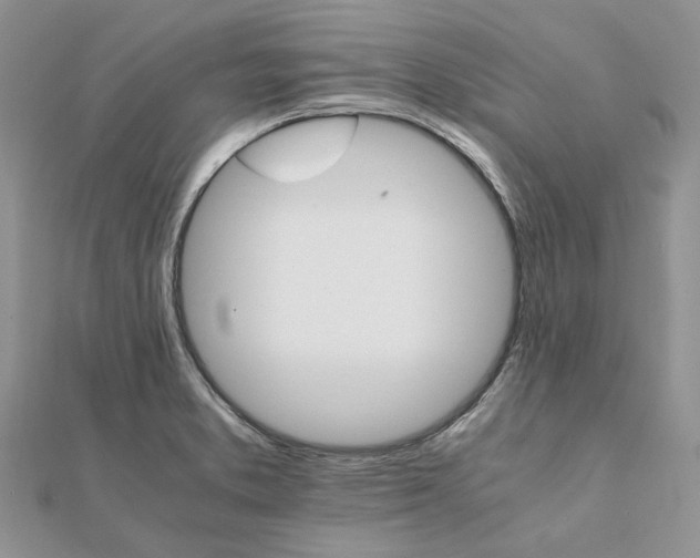 X0000111681373200907311211