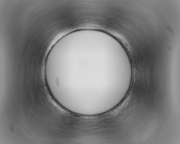 X0000111681374200907311211