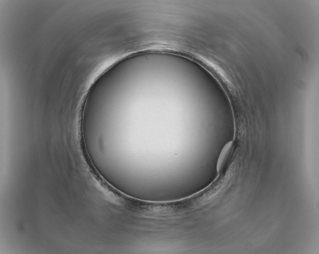 X0000111681375200907311211