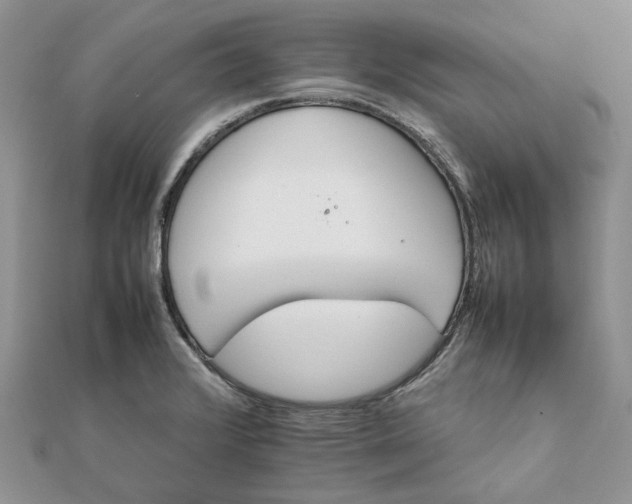 X0000111681376200907311211