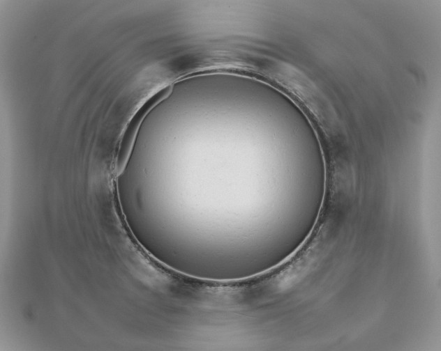 X0000111681377200907311211