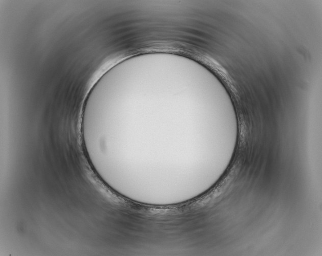 X0000111681378200907311211