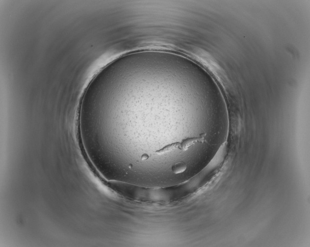 X0000111681379200907311211