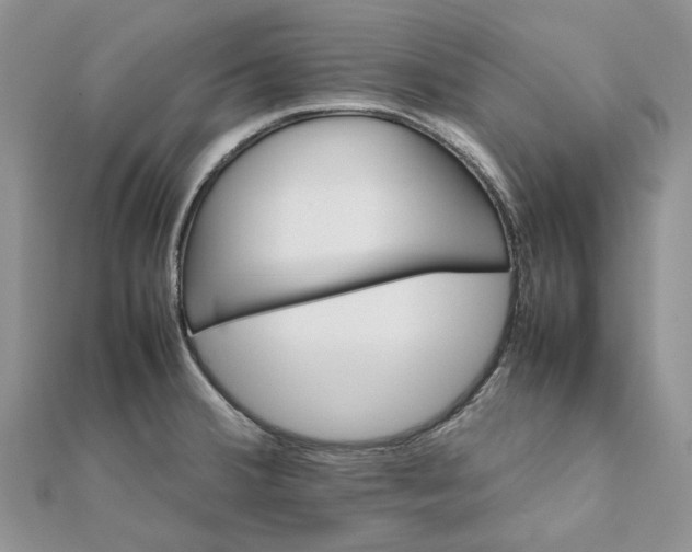 X0000111681380200907311211