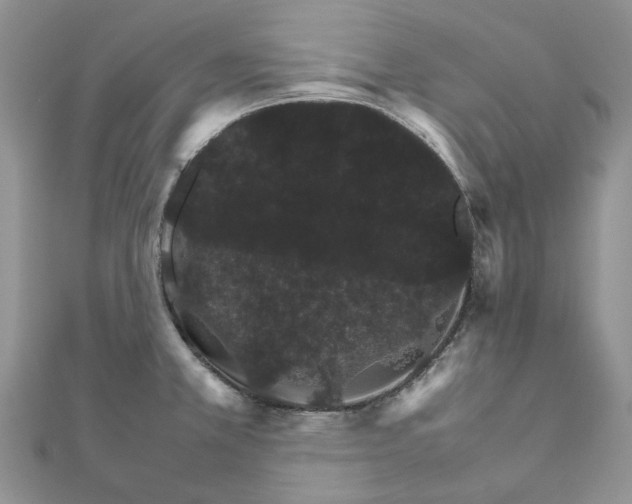 X0000111681381200907311211