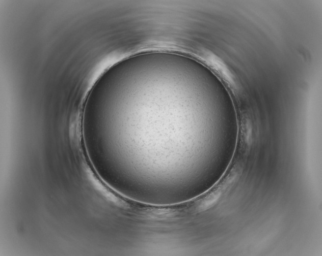 X0000111681382200907311210