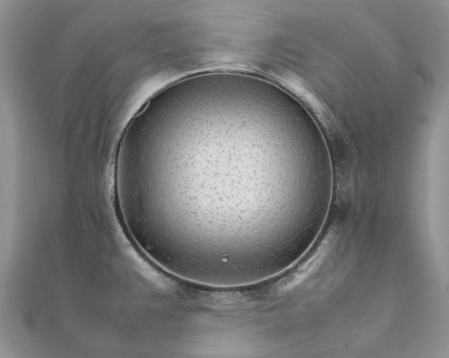 X0000111681383200907311210