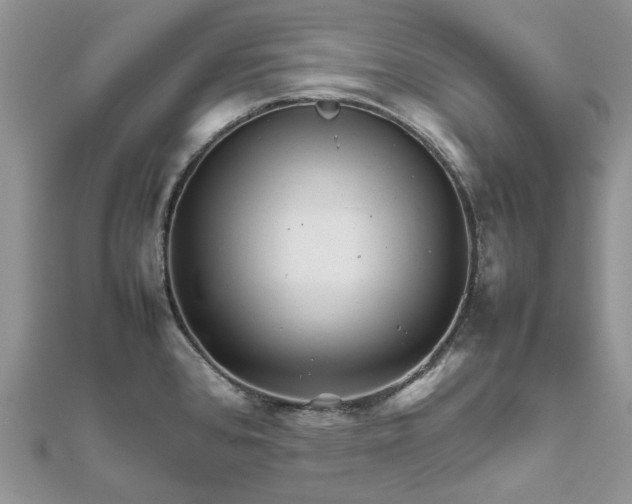 X0000111681384200907311210